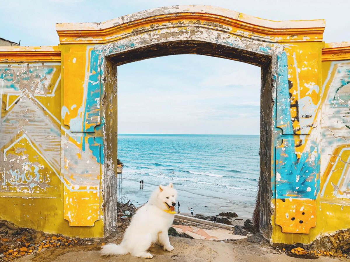 7 Địa Danh Sống Ảo Checkin VT - Chụp Hình Khách Sạn Vũng Tàu