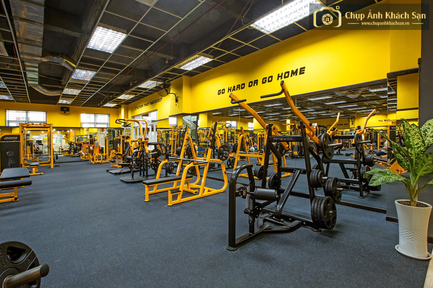 Dịch Vụ Chụp Ảnh Phòng Gym TPHCM Tại Chupanhkhachsan.vn